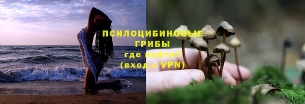 винт Бородино