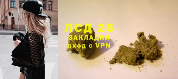 винт Бородино