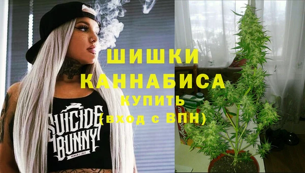 винт Бородино