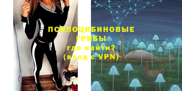 ПСИЛОЦИБИНОВЫЕ ГРИБЫ Бугульма