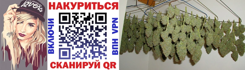 Каннабис White Widow  Курган 